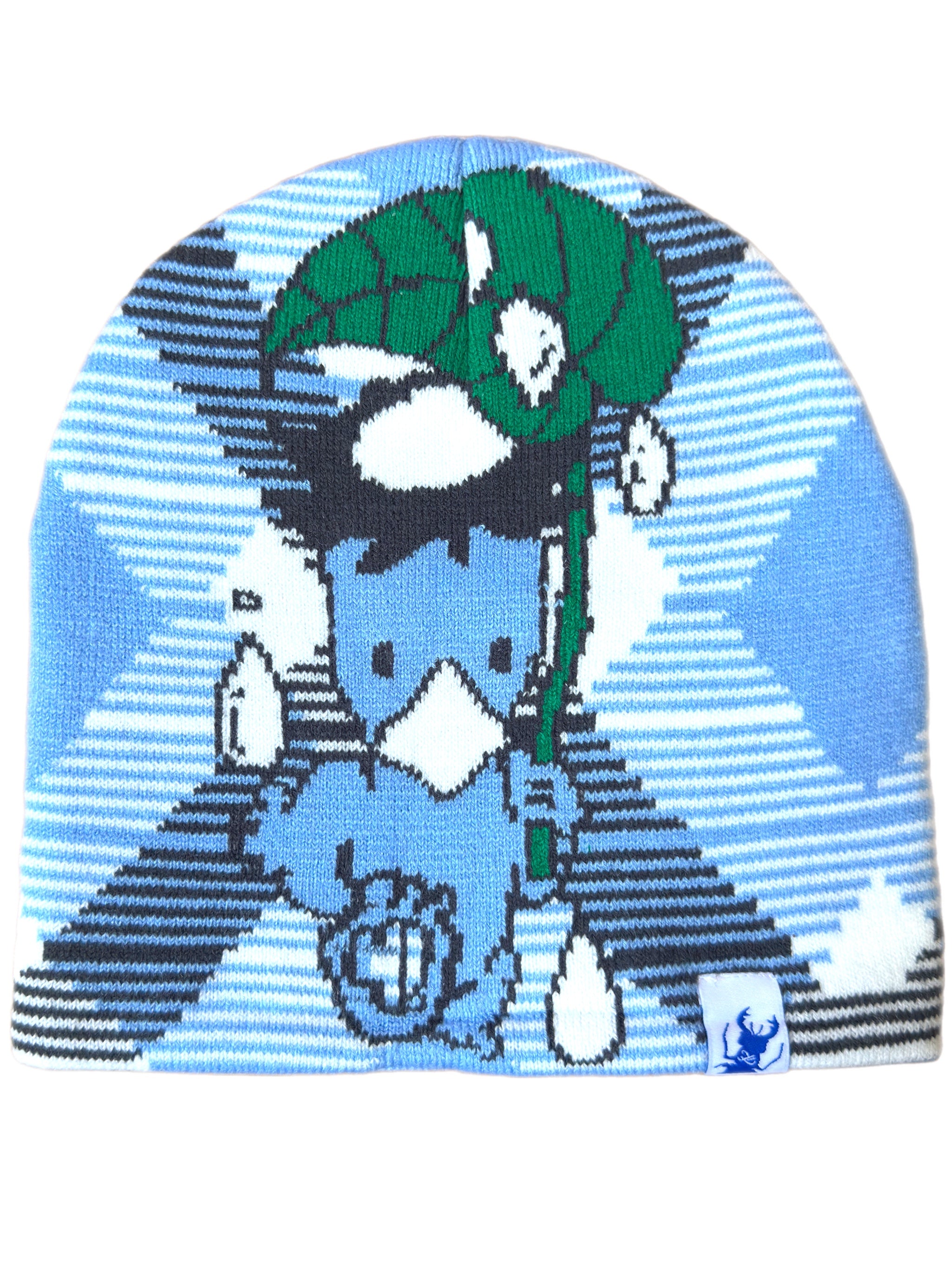 Frog Beanie Argyle